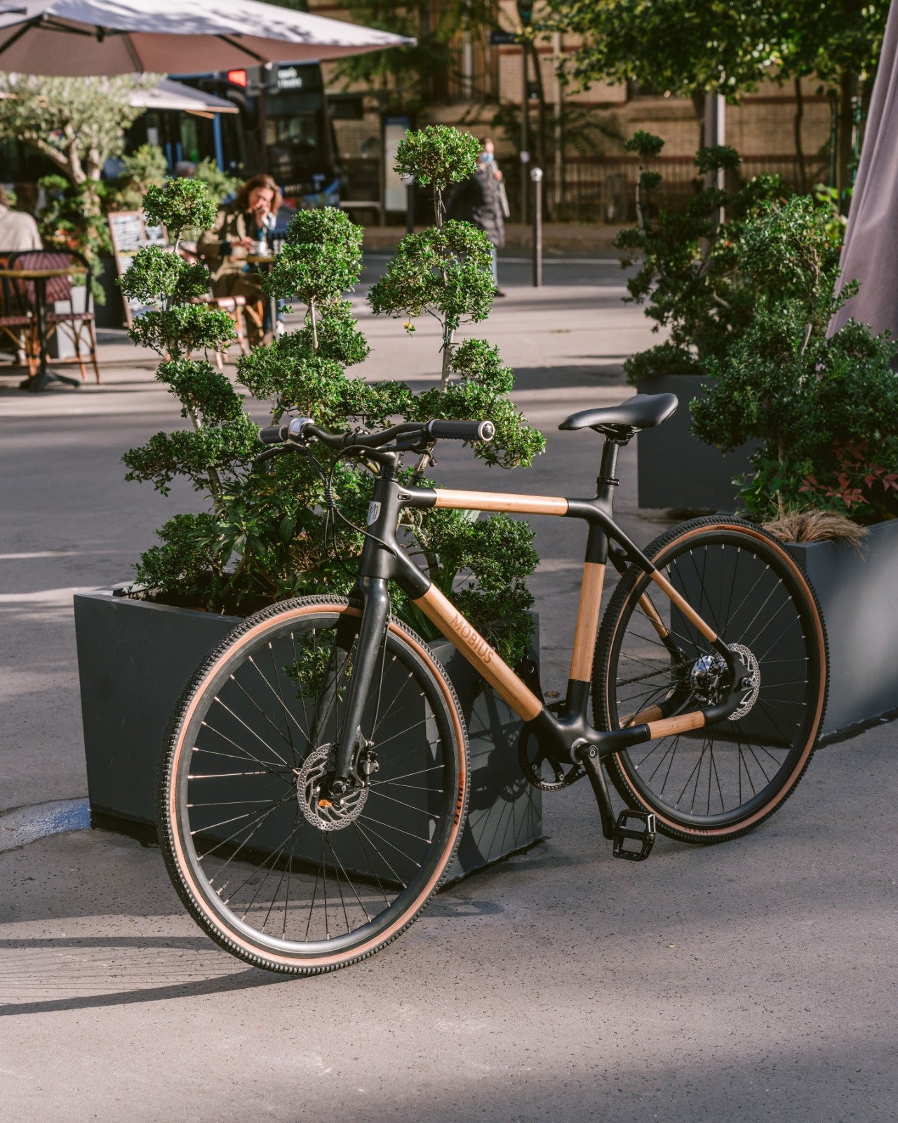 Möbius Strasbourg - Vélo musculaire