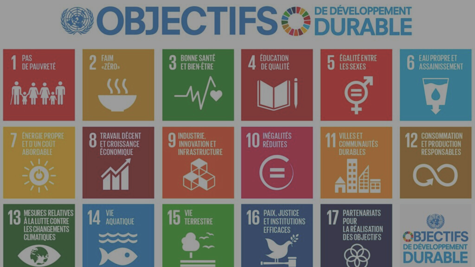 Objectifs ONU engagements environnement